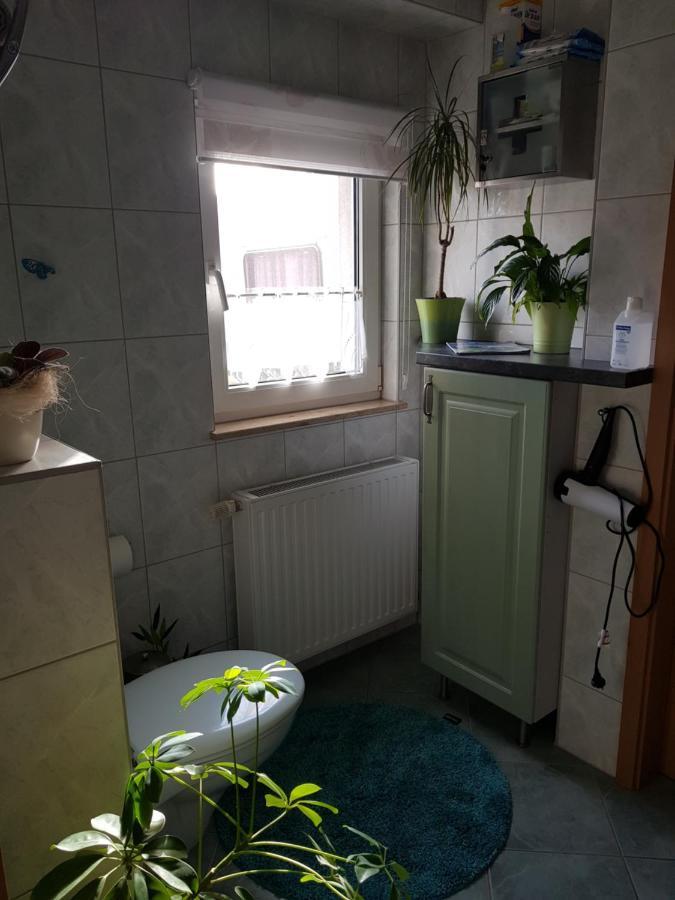 Sayda Ferienwohnung Pilsdorf מראה חיצוני תמונה